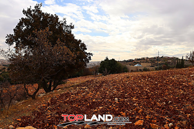 ارض للبيع في بدر الجديدة