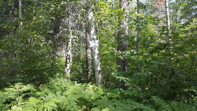 Sentier Yol au mont Kanasuta
