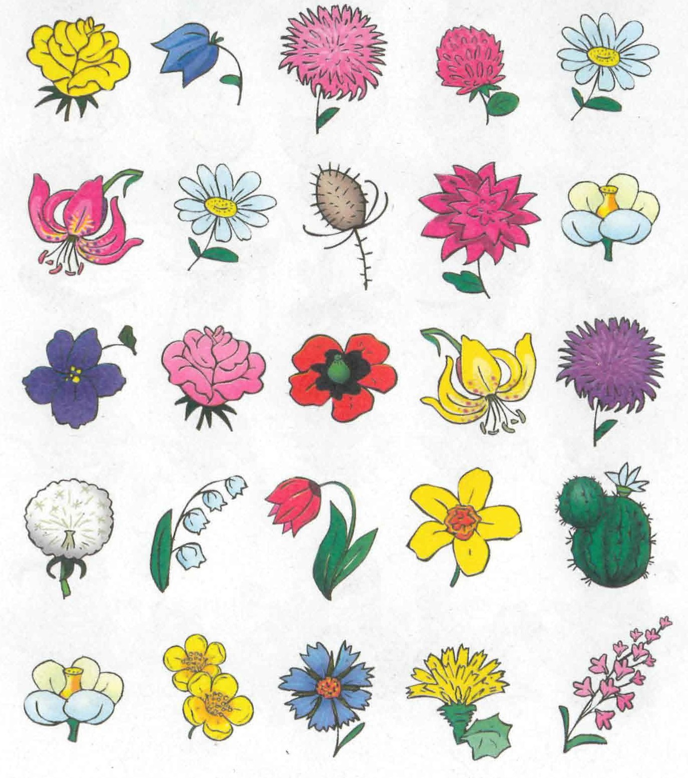 Рисунки цветов для детей цветные (48 фото)