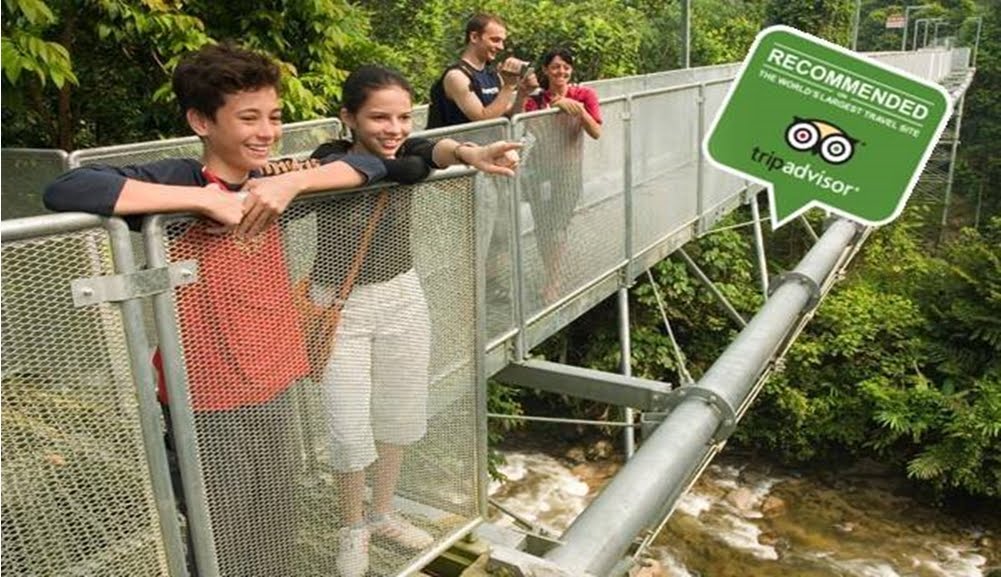 The Tree Top Walk Sg.Sedim