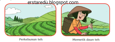 Kunci Jawaban Buku Tematik Kelas 4 Tema 4 Halaman 4 Pembelajaran 1 Erstaredu