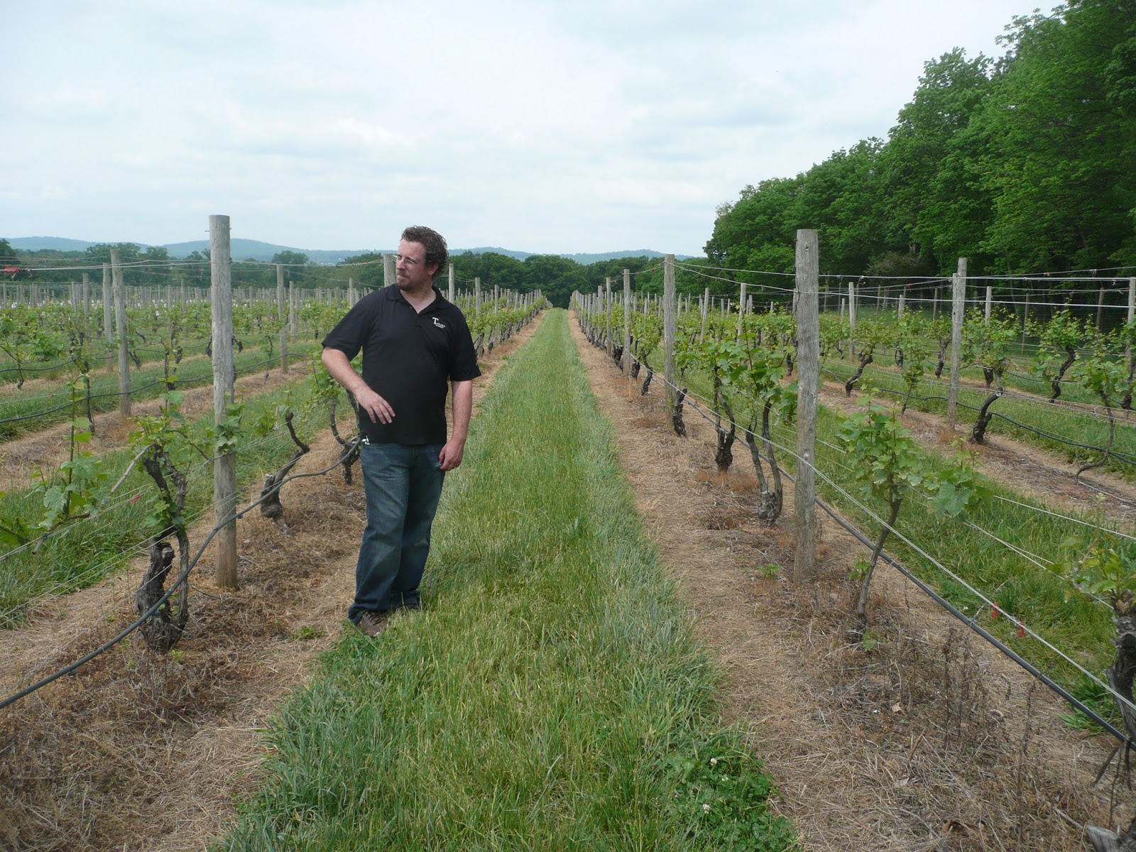 schillerwine Winemaker Jordan Harris from Tarara Winery in Virginia