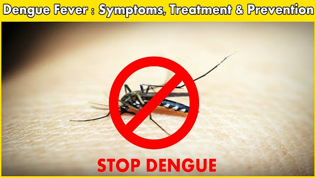 Symptoms For Dengue In Child