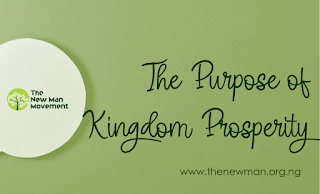 What is the Purpose of Kingdom Prosperity by Akinjobi Oluwagbemisola