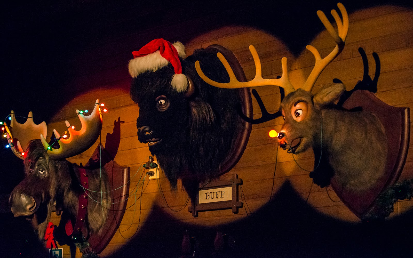 Inside the Christmas Jamboree