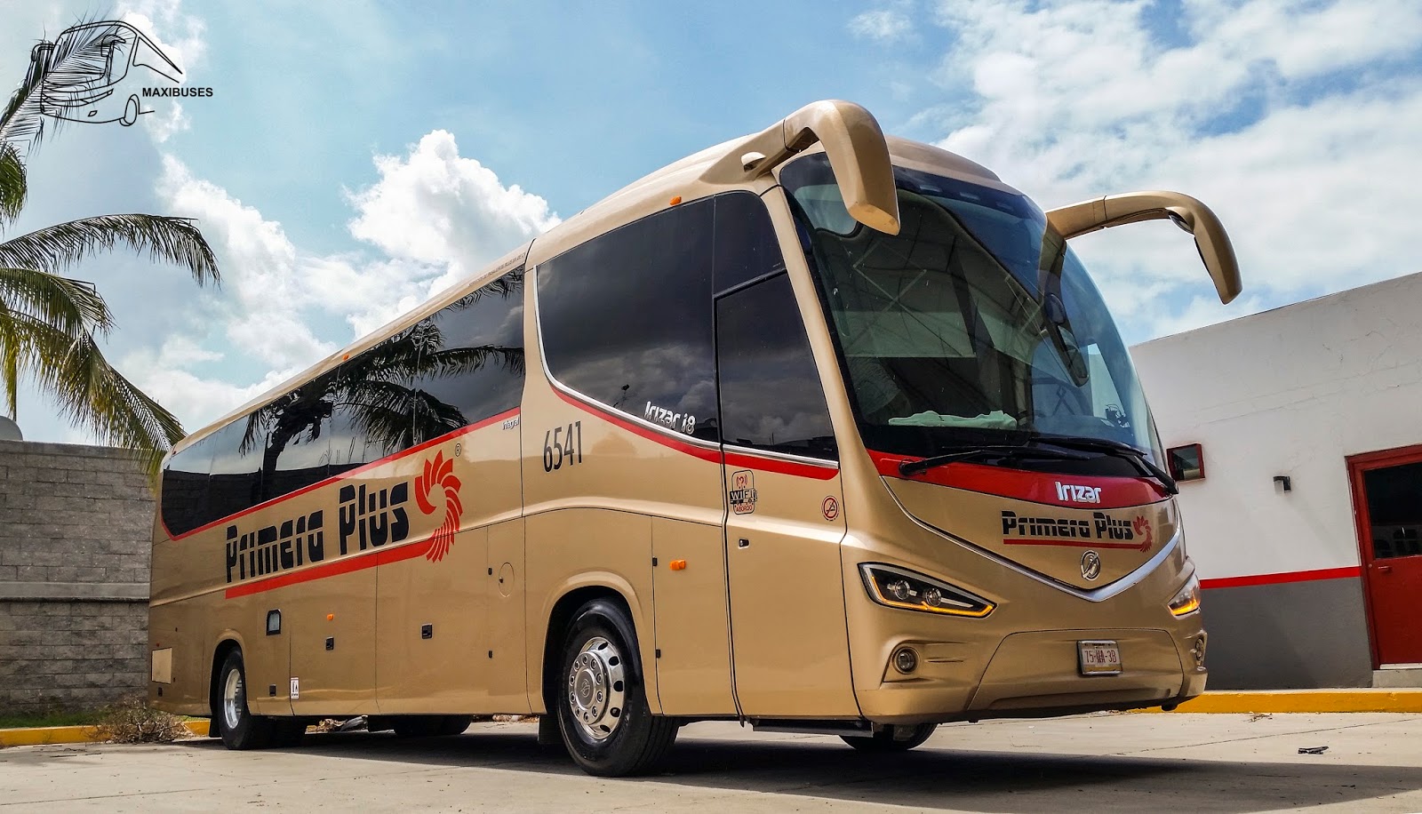 MAXIBUSES PRIMERA PLUS