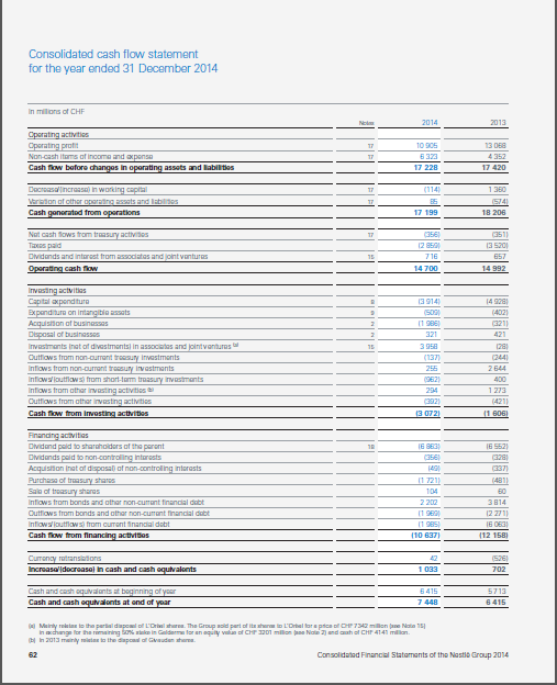 Nestles Financial Statement Analysis Project Appendix