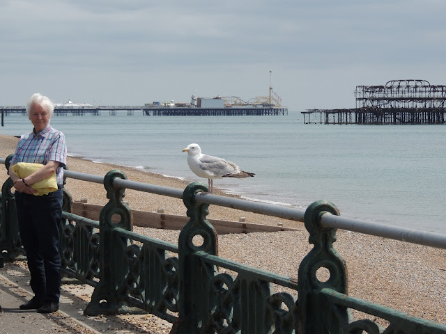 Camilla Jane || Travel - Brighton, East Sussex, England Camilla Jane || Travel - Brighton, East Sussex, England