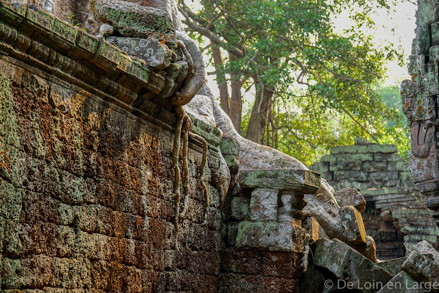 Ta Phrom - Angkor - Cambodge