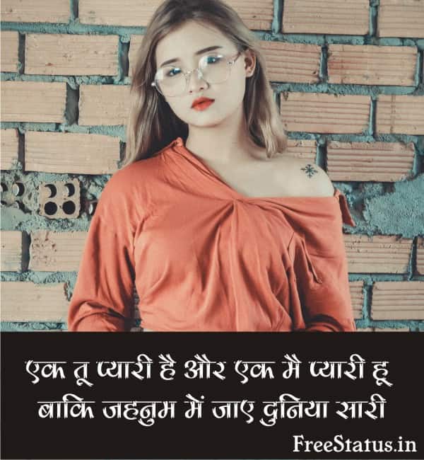 Attitude-Status-In-Hindi-2-Line-Fb