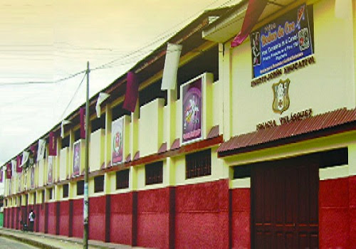Colegio IGNACIA VELASQUEZ - Moyobamba