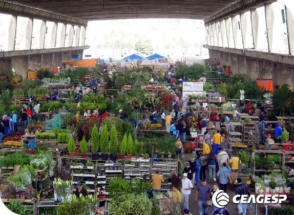 ceagesp sorocaba precos de flores