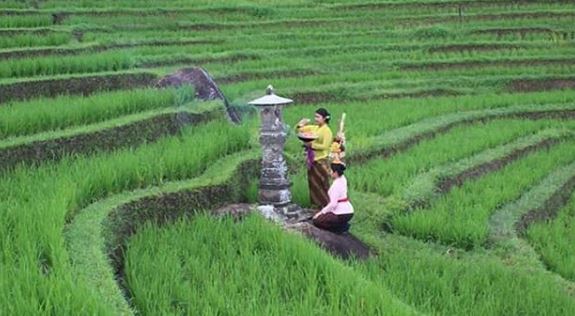 36+ Gambar Tempat Ibadah Umat Hindu Pics