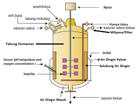 Contoh Soal Literasi Sains Berbagi Ilmu