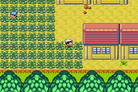 Pokemon SkyLine Screenshot 02