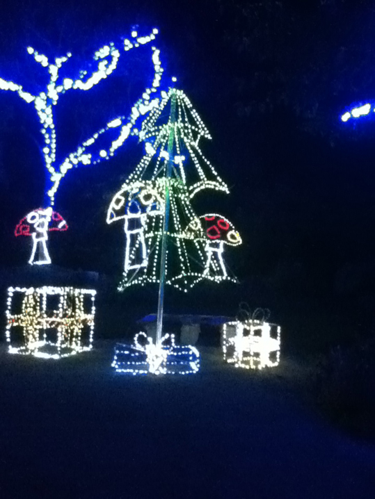 CocoBongo Hunter Valley Garden Christmas Lights Spectacular