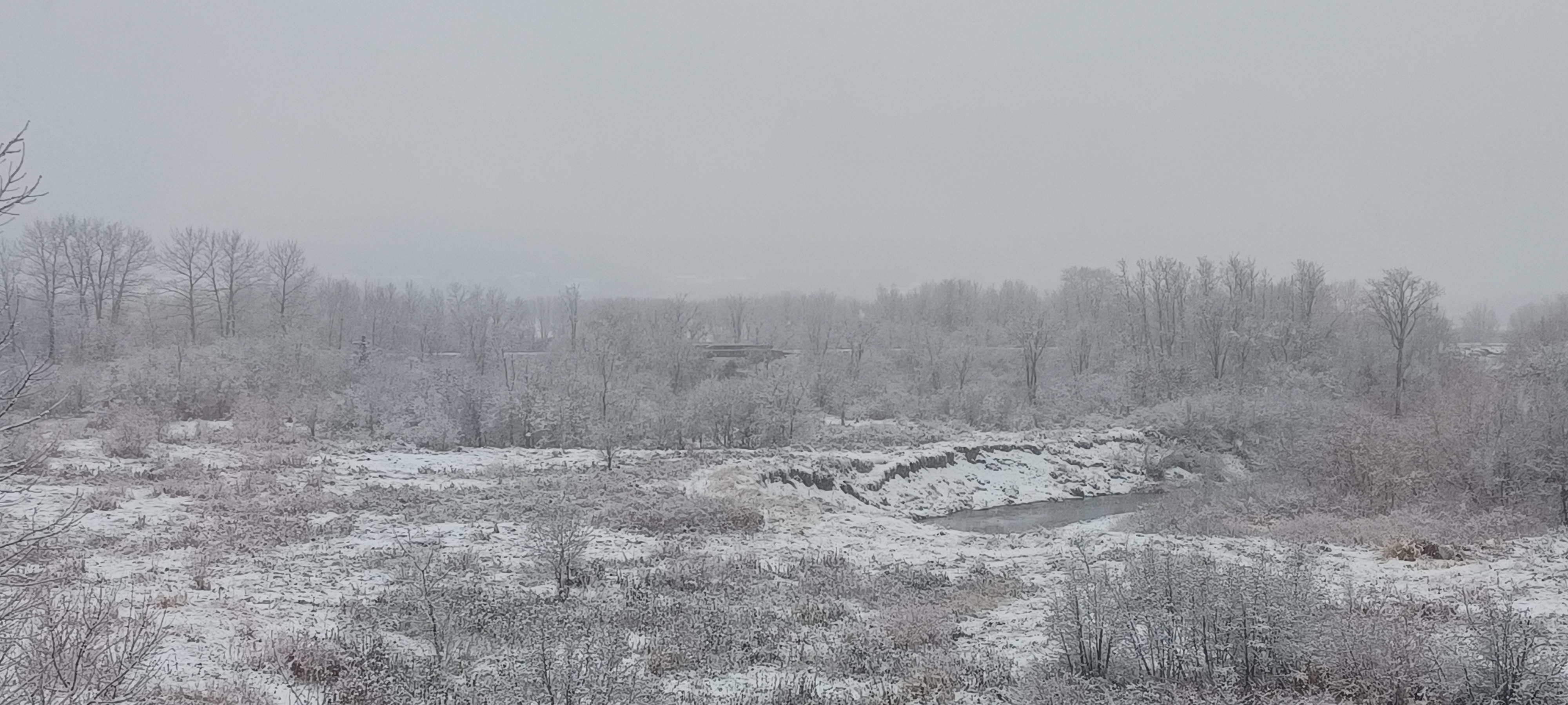 The Dividend Girl in my TFSA portfolio Stelco Holdings Inc. (STLC)!