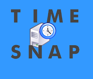 TimeSnapper Professional Portable