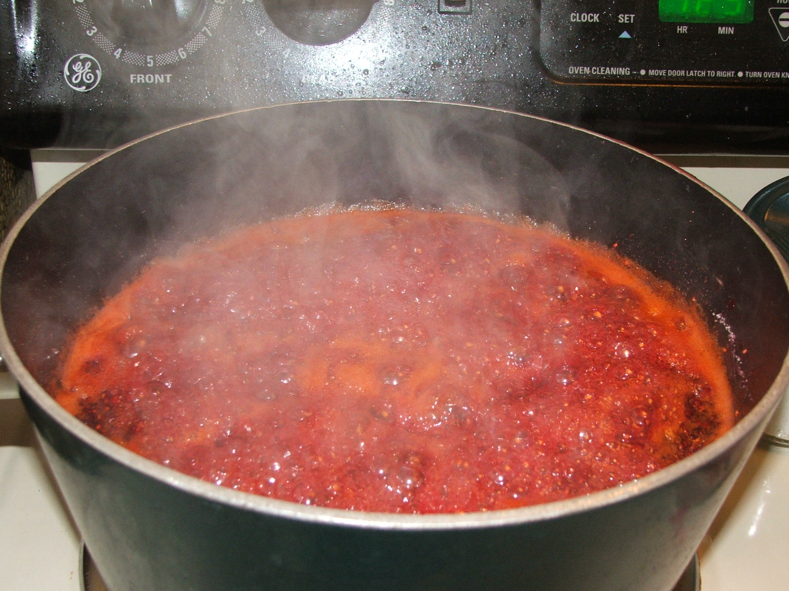 Tips and Encouragement from a Homeschooling Mom Wild Wine Berry Jelly/Jam