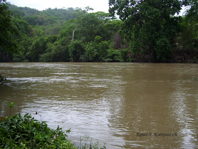 estado Zulia