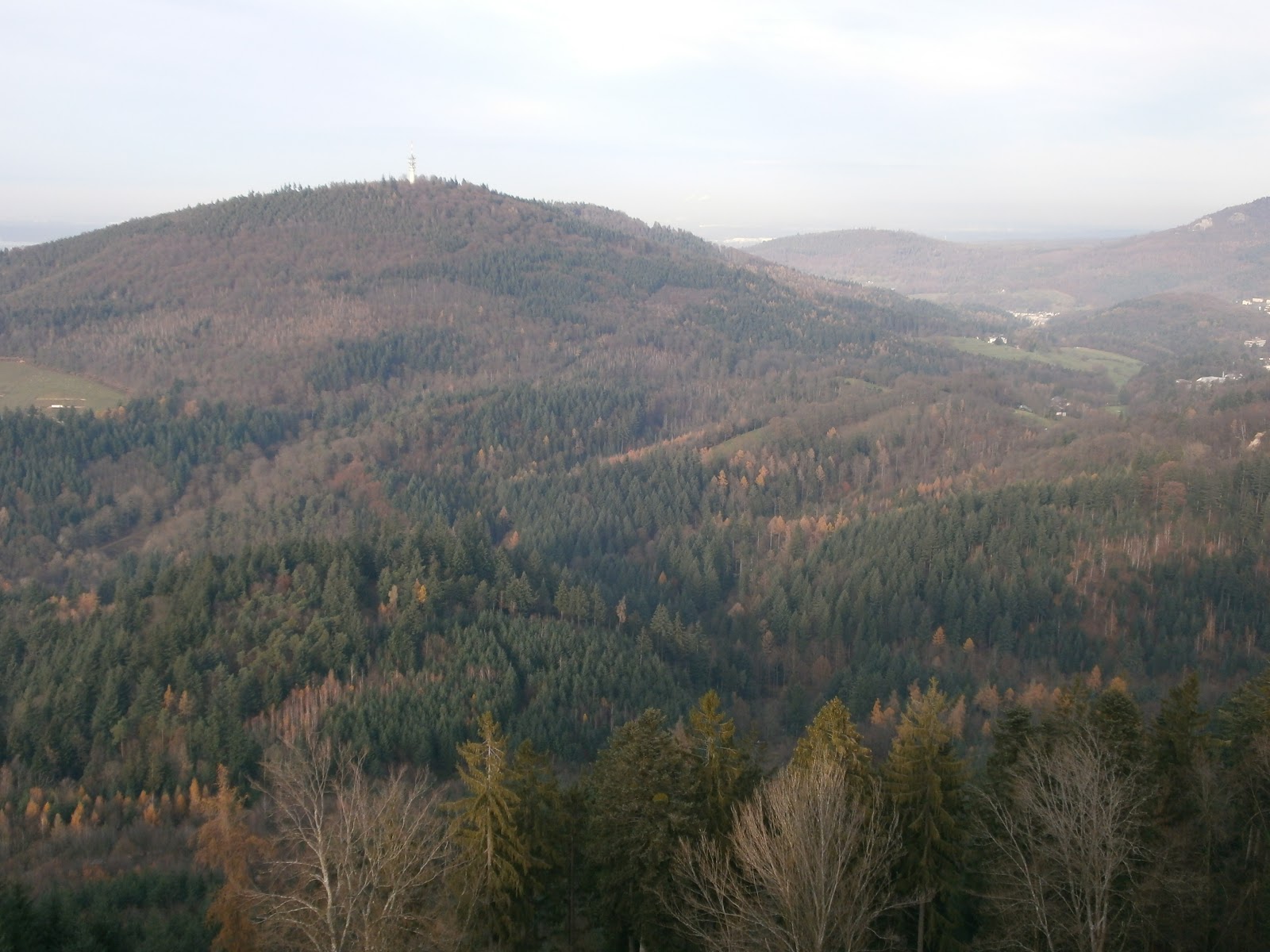 Der Schwarzwald Und Seine Natur Die Aussicht Von Der Yburg Bei Baden Baden