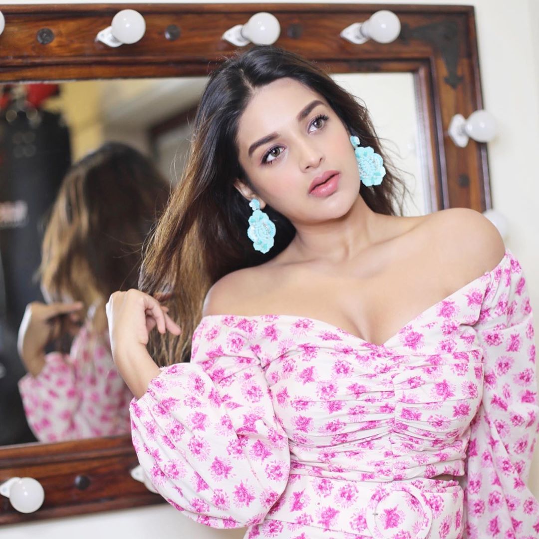 Nidhhi Agerwal HD UHD Photo