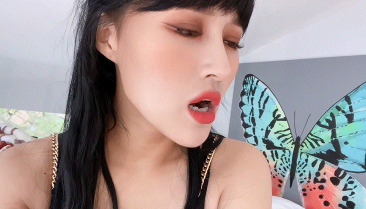 14.gif