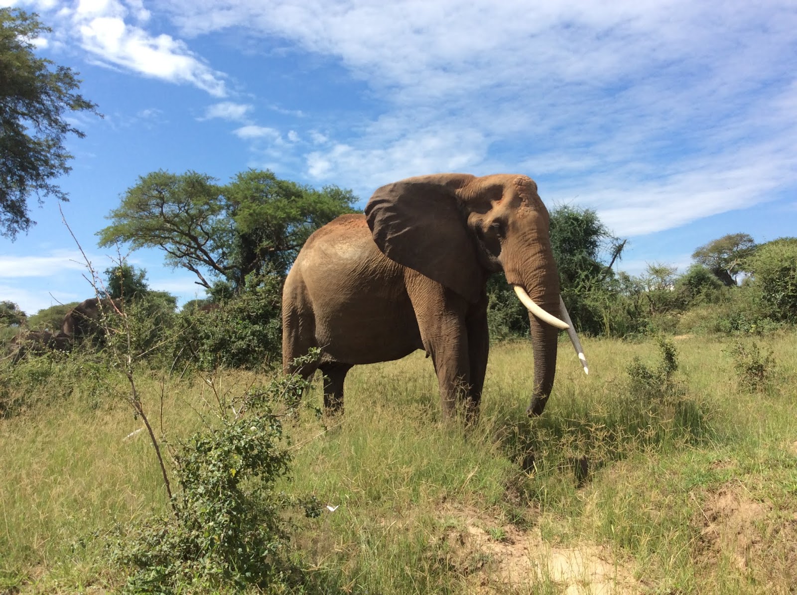 More than 1000 Travel Agents Across The World Pasha Adventures is a