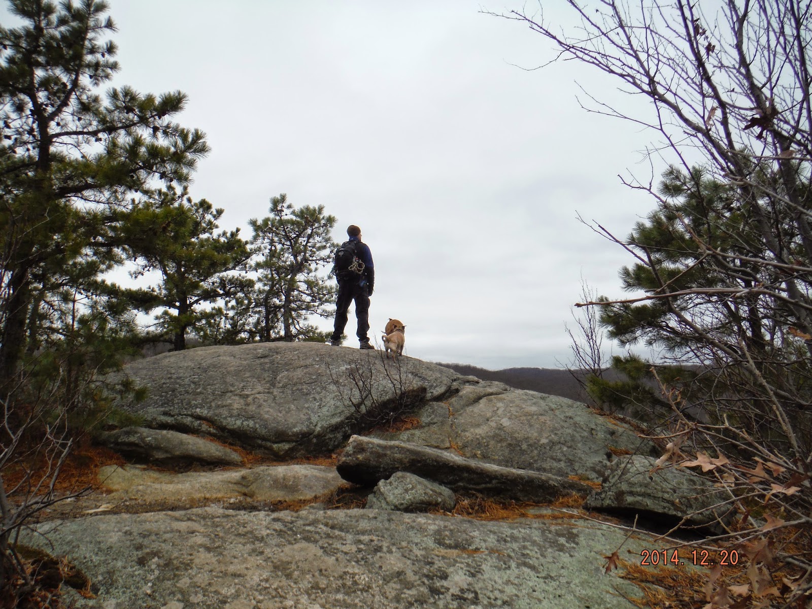 Hiking Tails: Norvin Green State Forest - Wanaque, New Jersey
