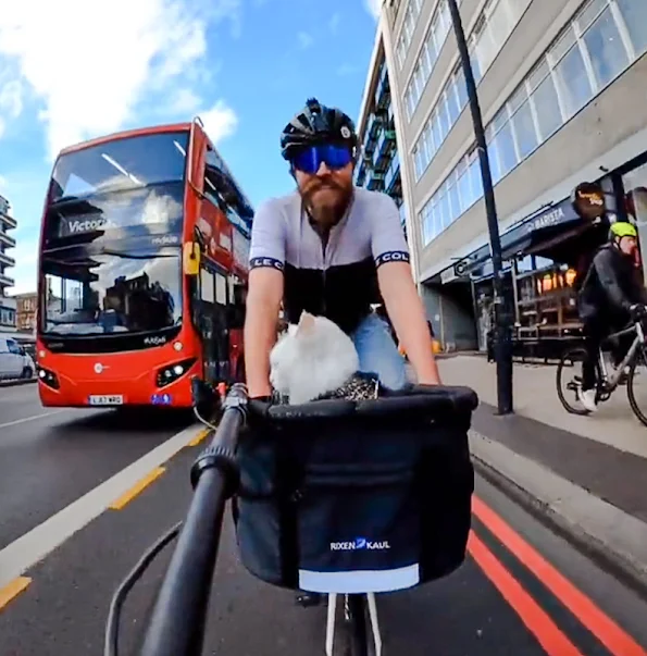 Could you take your cat for a bike ride with double-decker buses whizzing past?