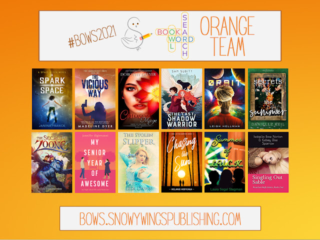 Book Owl Word Search Orange Team Book Banner