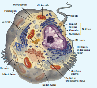 My SimpleWorld: Agustus 2016