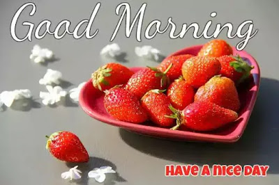 Good Morning Images Good Morning Images