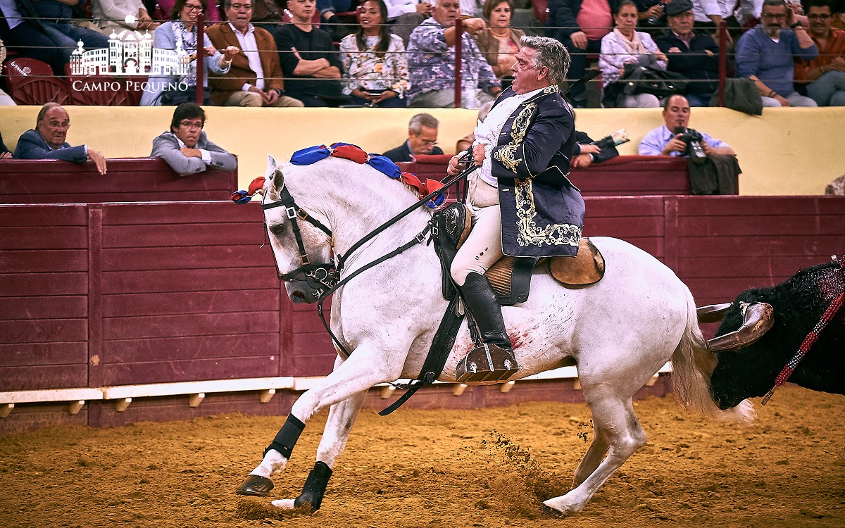 Resultado de imagem para corridas de touros televisionadas 2018