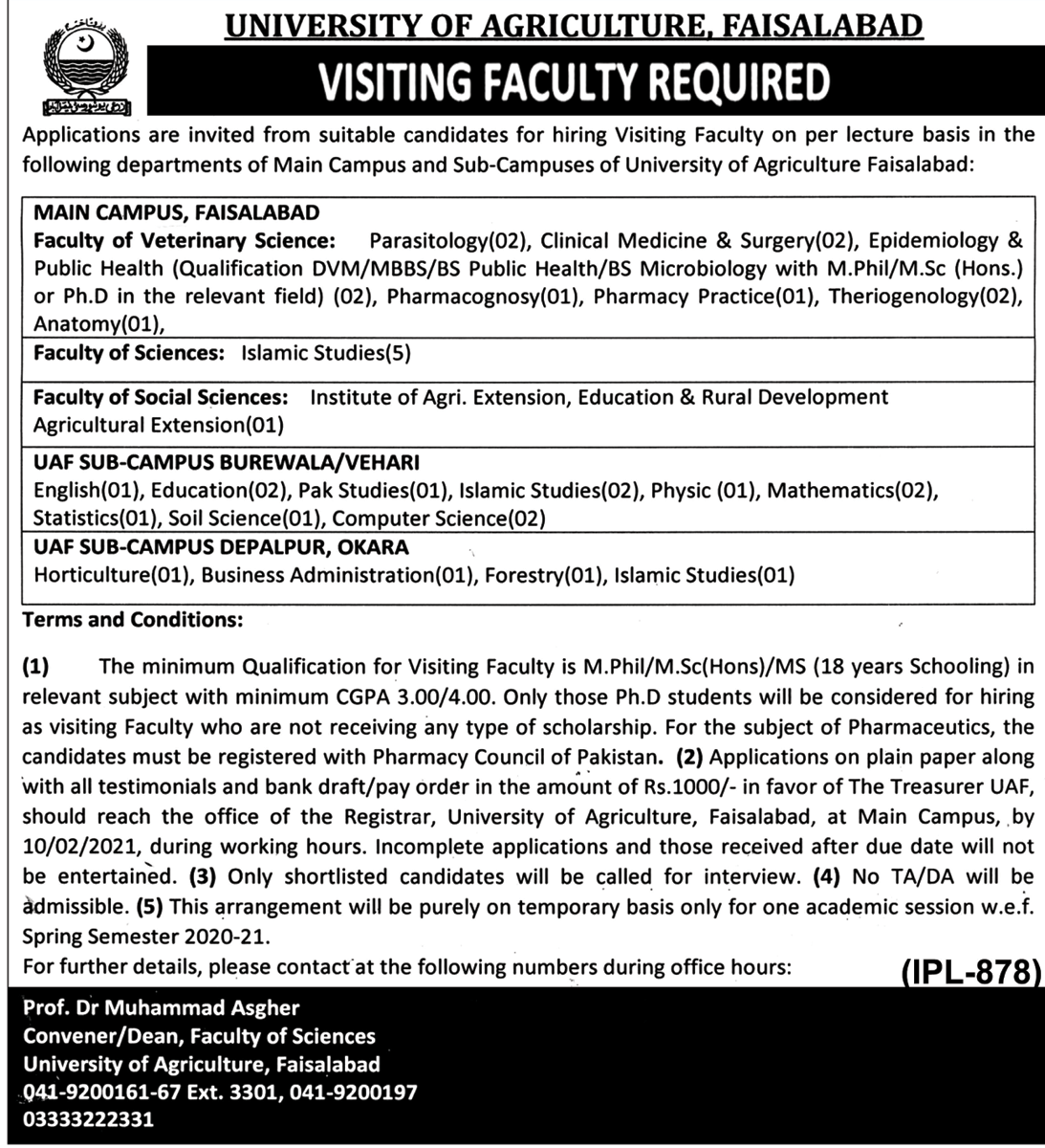 AUF Jobs 2021 - Agriculture of University Faisalabad Jobs 2021 - Govt Teaching Jobs 2021