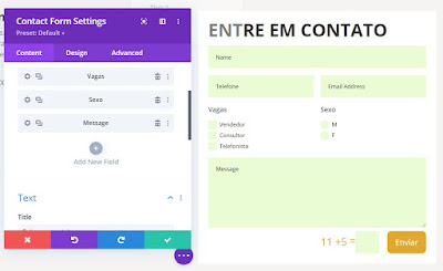 Divi informação do formulário