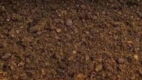 Ilmu Pesugihan Putih Aji Nini Blorong Harus Waspada Musyrik