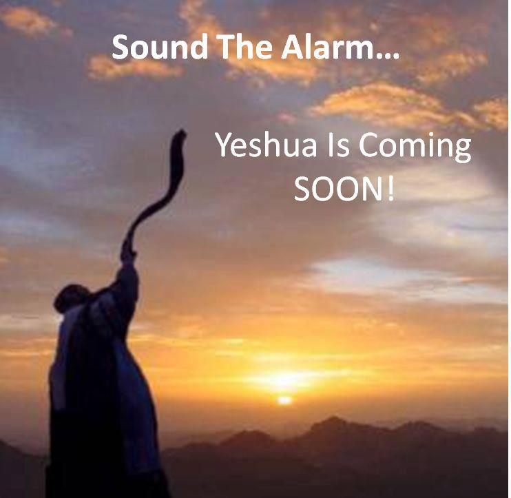 SOUND THE ALARMYESHUA IS COMING SOON!!! ~ Direct Prophecy News