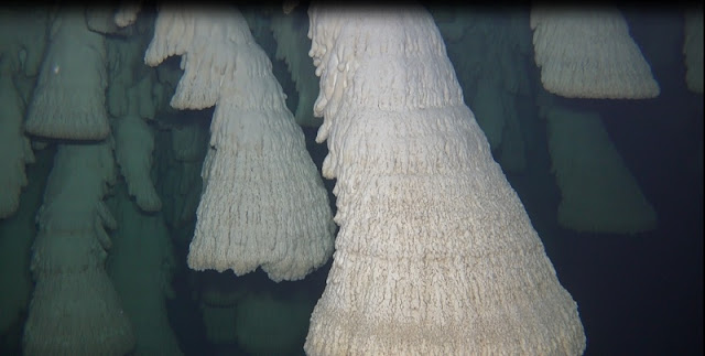 Адские колокола в подводной пещере Эль Сапоте, Мексика