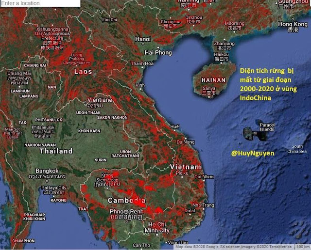 Sốc: Diện tích rừng ở Việt Nam bị mất trong vòng 20 năm qua
