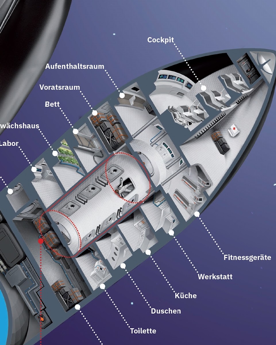 SpaceX%2BStarship%2Bcutaway%2Bdiagram%2Bby%2BJulian%2BSchindler%2B-%2Bcloseup%2Bof%2Bcrew%2Bsection.jpg