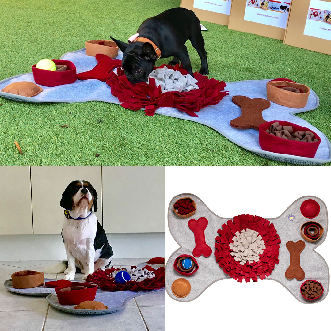 Top 20 Christmas Gifts for Aussie Dogs in 2019 Australian Dog Lover
