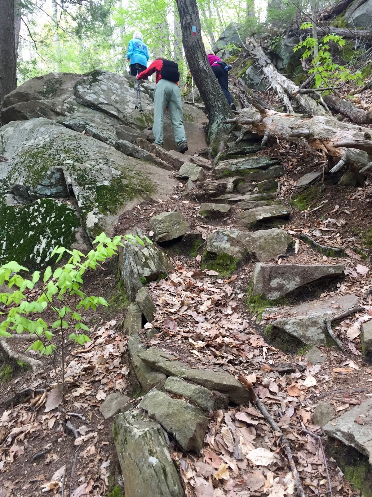 Valley Hikers Peoples State Forest, Barkhamsted