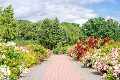 Powsin ogród botaniczny PAN krajobraz