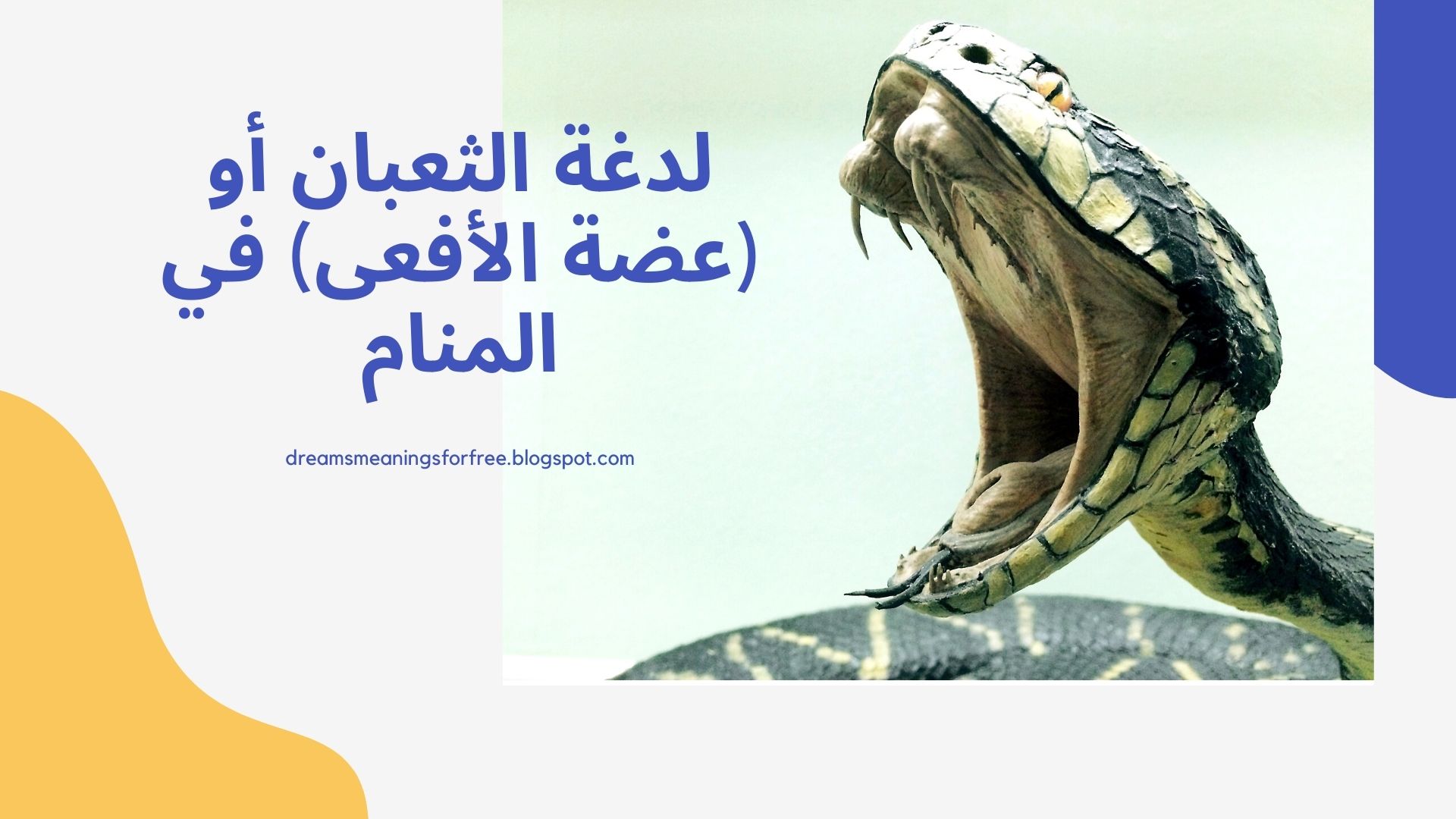 تفسير حلم رؤية لدغة الثعبان في المنام لابن سيرين مجلة رجيم
