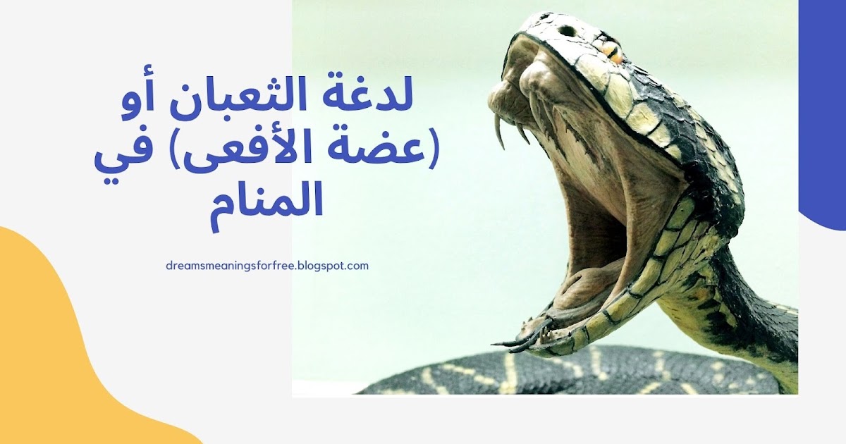 عضة الثعبان في المنام نواعم
