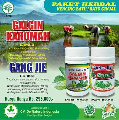 obat batu ginjal/kencing batu