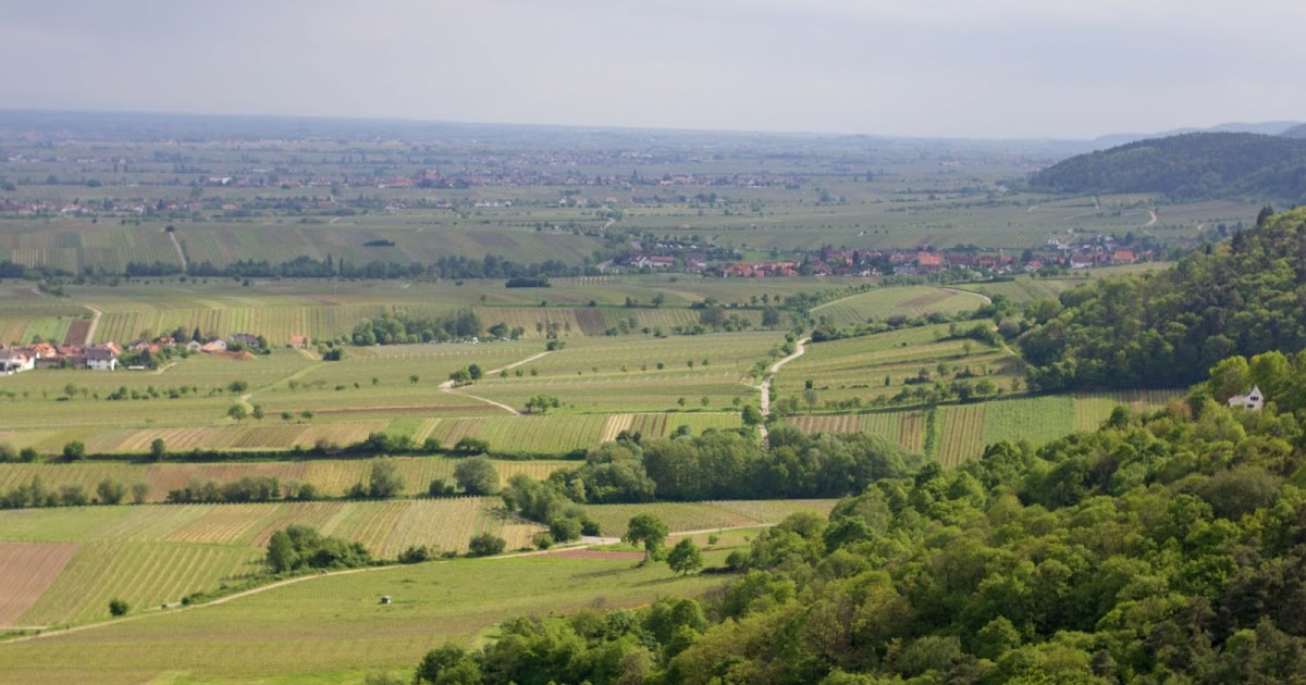 Weinmesse Rheinland Pfalz In Bremen Mandelblute In Rheinland Pfalz