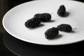 can dogs eat mulberries, mulberries and dogs, mulberries for dogs, are mulberries edible