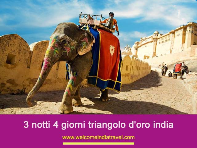 3 notti 4 giorni triangolo d'oro india